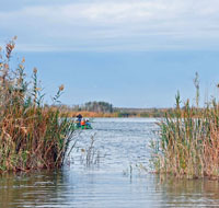 Visita del Parque Natural de la Albufera en bicicleta