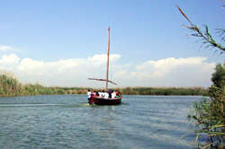 albufera visite