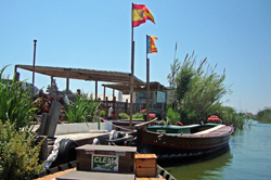 albufera visite