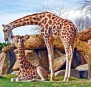 Bioparc